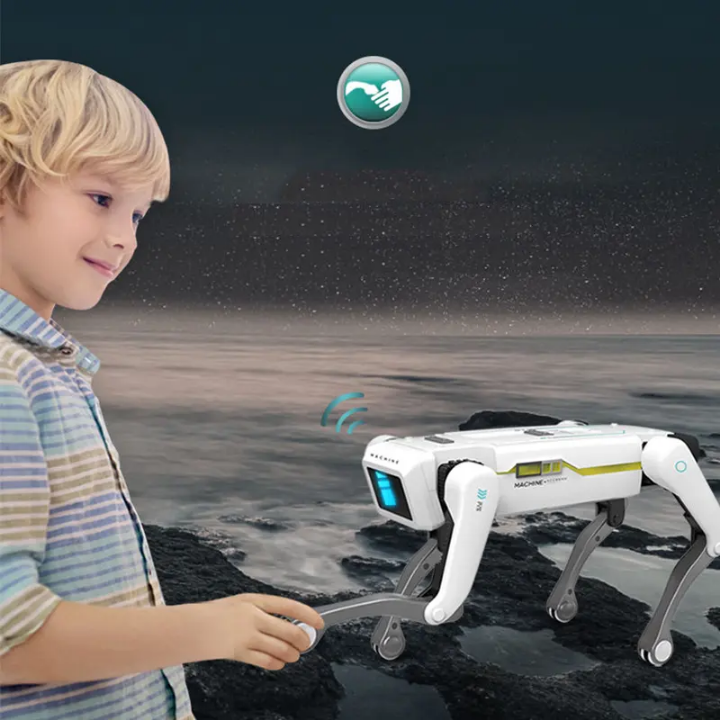 🤖 Ai smart WiFi RC Robot Dog – Playful Gestures, Voice & App Control